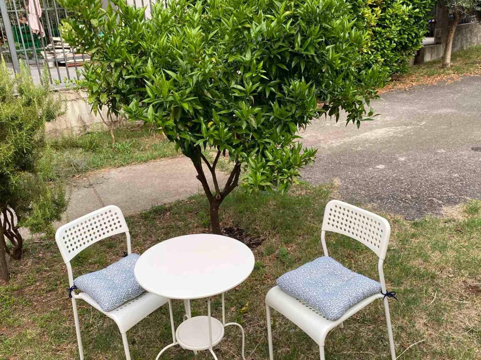 Apartman Ela